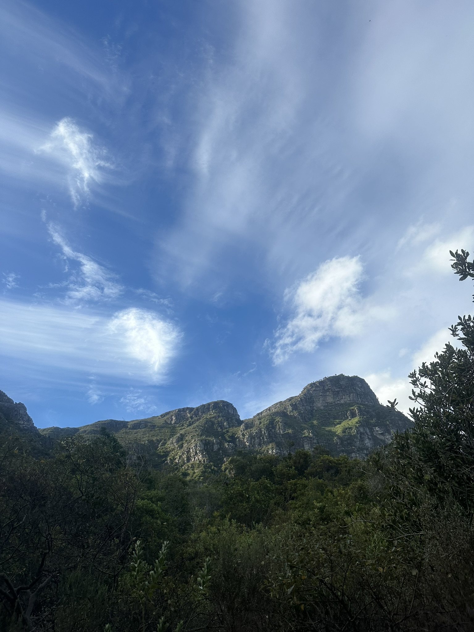 South Africa - Image 741